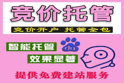 优化竞价SEM：成功案例分享